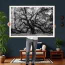 Black and White Old Angel Oak Tree Wall Art Canvas Print