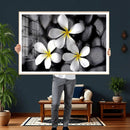 Plumeria Frangipani Black Stone Canvas | White Flower Spa by MyGreatCanvas | Canvas Wall Art Prints | Photo Prints & Wall Decor