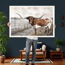 Vintage Texas Cow Wall Art Canvas Print, Rustic Longhorn