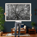 Majestic Angel Oak Tree Black and White Canvas Print – Multi