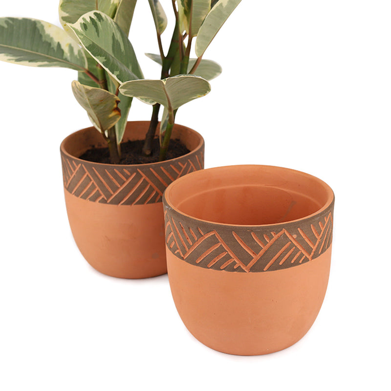 5.5 inch Clay-Black Color Modern Pot