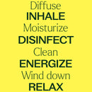 15 & 15 Essential Oil Set with Carrying Case