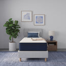 10" Medium Firm Euro Top Hybrid Cooling Gel Infused Pocket Spring And Memory Foam Mattress by HouseOfZazla