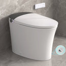 Elongated Smart Toilet with Bidet and Heated Seat