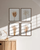 Brown plants