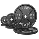 Synergee Standard Metal Weight Plates