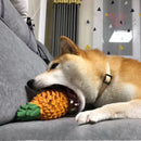 Funny Fruits Shape Dog Toy Pet Teeth Clean Molar Teeth Chew Bite Pet Toys Pets Products Gift