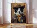 Border Collie Western Marshal
