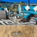 Leadingware Plastic Wine Glasses (Set of 4), Unbreakable Bpa Free Tritan 23Oz - Clear by HouseOfZazla