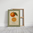 Vintage Orange Slice Botanical Study