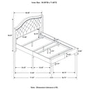 Copper - Wingback Bed