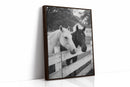 Pasture Gate Conversations