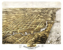 Vintage Map of Michigan City, Indiana 1869
