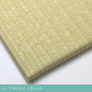 Seiryu YOUNG GRASS