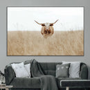 Texas Longhorn Wall Art Canvas Print – Framed Lone Cattle by MyGreatCanvas | Canvas Wall Art Prints | Photo Prints & Wall Decor
