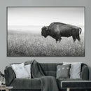 Bison in Prairie Wall Art Canvas Print – Framed Rustic by MyGreatCanvas | Canvas Wall Art Prints | Photo Prints & Wall Decor