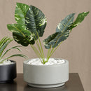 7 inch Smooth Gray Fiberstone Ceramic Pot