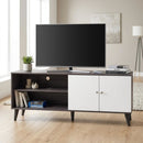 Amidon - TV Stand, With 2 Storage Shelves And 1 Cabinet by Unique Piece Furniture