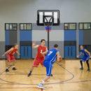 Portable Basketball Hoop with 9-Position Adjustable Height by LJGDeals