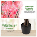 5.5 FT Tall Artificial Cherry Blossom Tree with Pink/White Flowers 2 Pack by LJGDeals