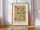Fruit of the Spirit Botanical Print