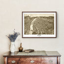 Vintage Map of Elgin, Illinois 1880