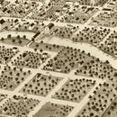 Vintage Map of Pontiac, Illinois 1869