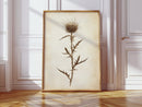 Vintage Thistle Botanical Print – Rustic Western Floral Wall Art