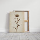 Vintage Thistle Botanical Print – Rustic Western Floral Wall Art