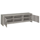 Conifer - TV Stand With Adjustable Shelves - Gray by HouseOfZazla