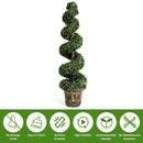 2 Pieces 4 Feet Artificial Décor Green Boxwood Spiral Tree Set by LJGDeals