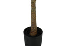 47" Tall Artificial Fiddle Tree Plant by HouseOfZazla