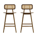 Bari Indoor Wood Barstool (Set of 2)