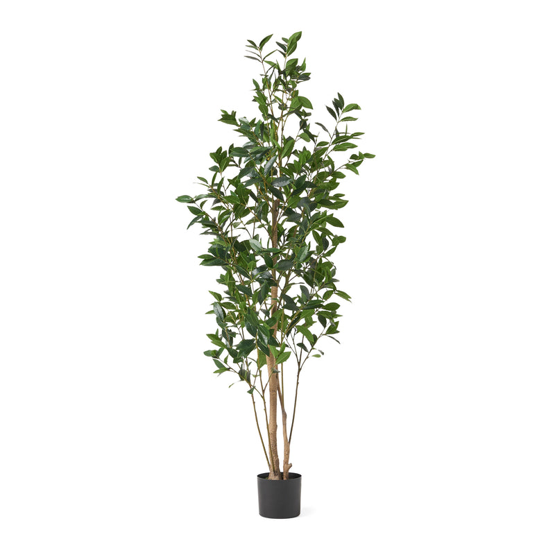 180CM ARTIFICIAL LAUREL TREE, photo 2 of 5