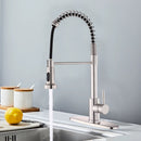 Brushed Nickel Kitchen Faucet with Pull Down Sprayer