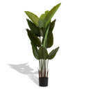 Artificial Plant For Indoor And Outdoor Decoration (Set of 2) by HouseOfZazla