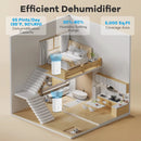 65 Pints Dehumidifier with 24H Timer and LED Display-White by LJGDeals