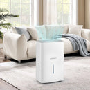 65 Pints Dehumidifier with 24H Timer and LED Display-White by LJGDeals