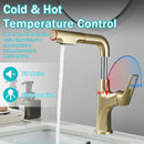 Pull Down Vessel Faucet With Lift Spout & Dual Spray Modes by HouseOfZazla