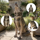 29.72" H x 17.91" L Simulated Howling Wolf Garden Statue