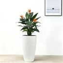 Tall Planters Set With Water Level Monitor And Auto Watering