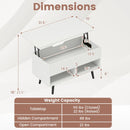 31.5 Inch Lift-Top Coffee Table with Hidden Storage and 2 Open Shelves by LJGDeals