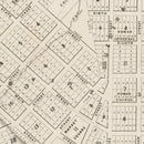 Vintage Map of St. Paul, Minnesota 1860