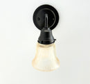 Amber Holophane Clear Glass Wall Sconce or Pendant Light
