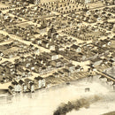 Vintage Map of Cedar Rapids, Iowa 1868