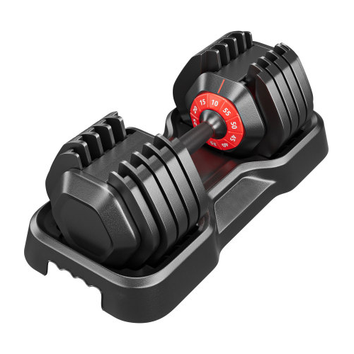 Adjustable Dumbbell Set, 10 in 1 Free Dumbbell for Men and Women, Black Dumbbell for Home Gym, Full Body Workout Fitness, Fast Adjust by Turning Handle (10 Gears/55 LB)