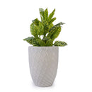 Ceramic Flowerpot, Planter For Patio, Garden, Windowsill by HouseOfZazla