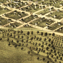 Vintage Map of Marion, Iowa 1868