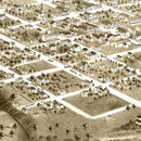 Vintage Map of Columbia, Missouri 1869