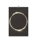 "1927 Solar Eclipse Photograph" Matte Poster